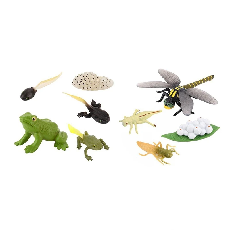 

9 Pieces Life Cycle Figures Of Frog Dragonfly Figurines Toy Kit Simulation Animal Growth Cycle Models Educational Toys