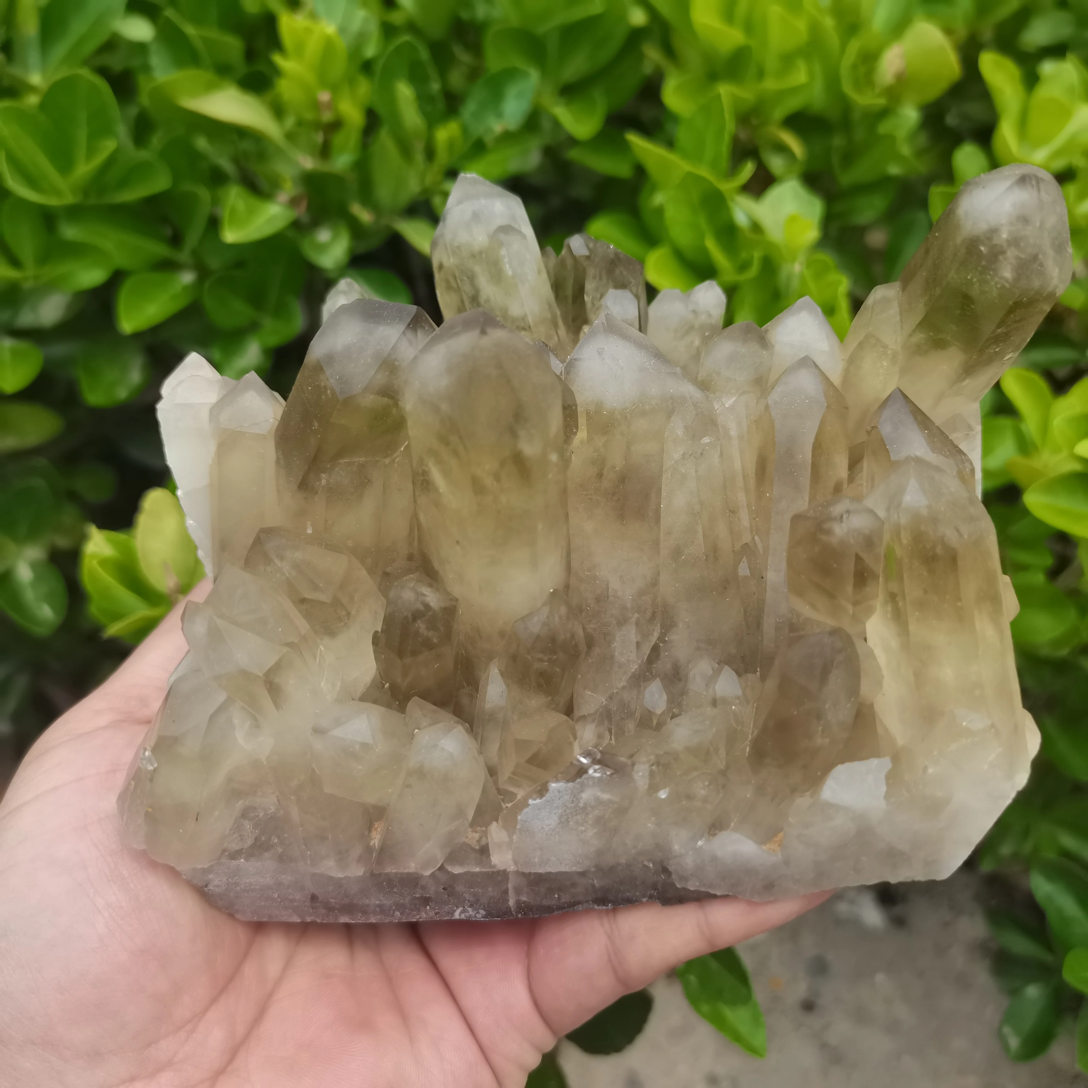 

Natural lemon yellow quartz crystal original stone cluster quartz mineral specimen healing stone smoked yellow crystal cluster
