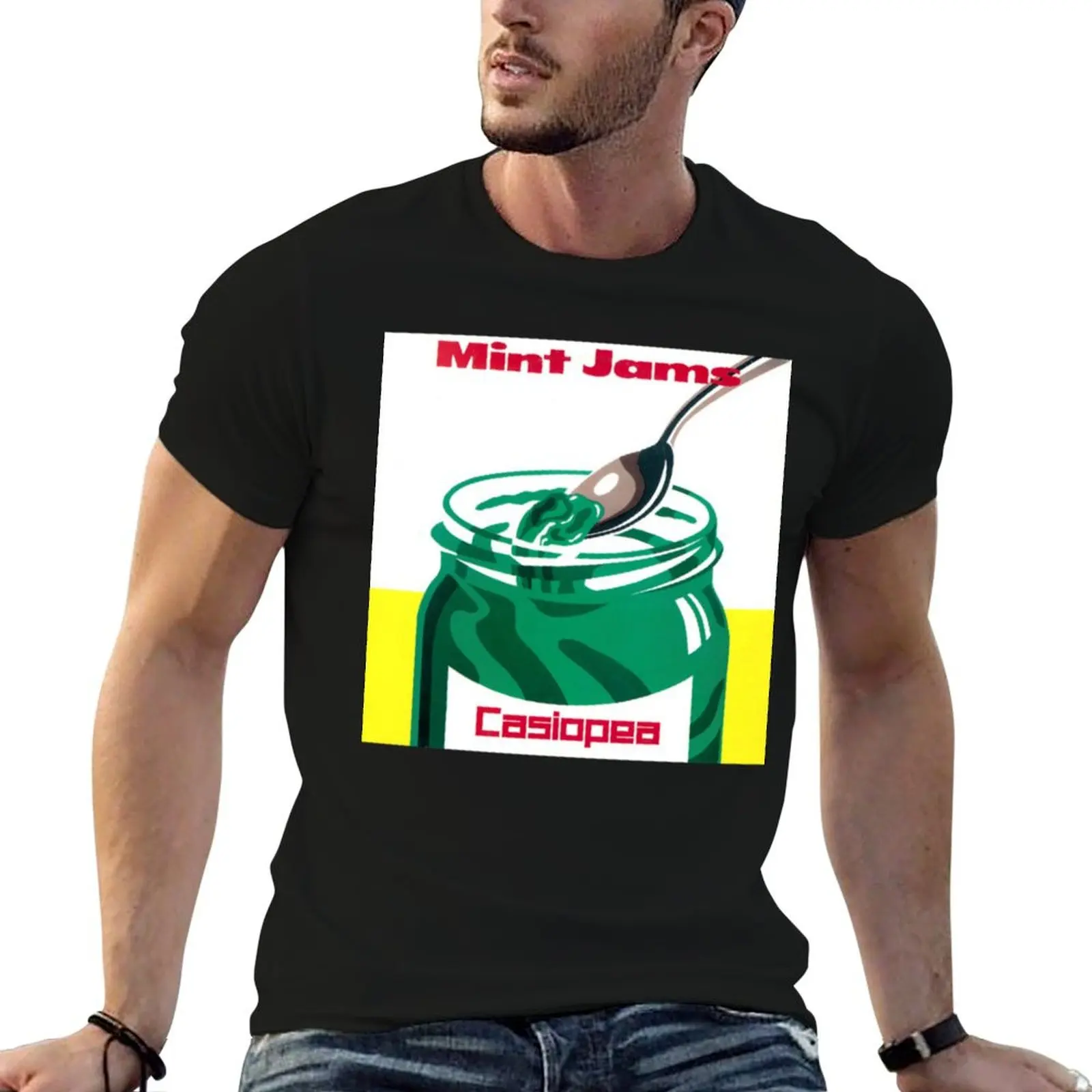 Фото Футболка CASIOPEA - MINT JAMS, большой размер, с коротким рукавом №1
