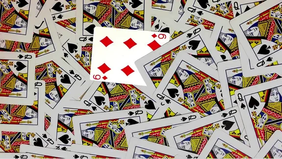 

2021 The Misfit Deck by Matt Baker , Magic TricKs