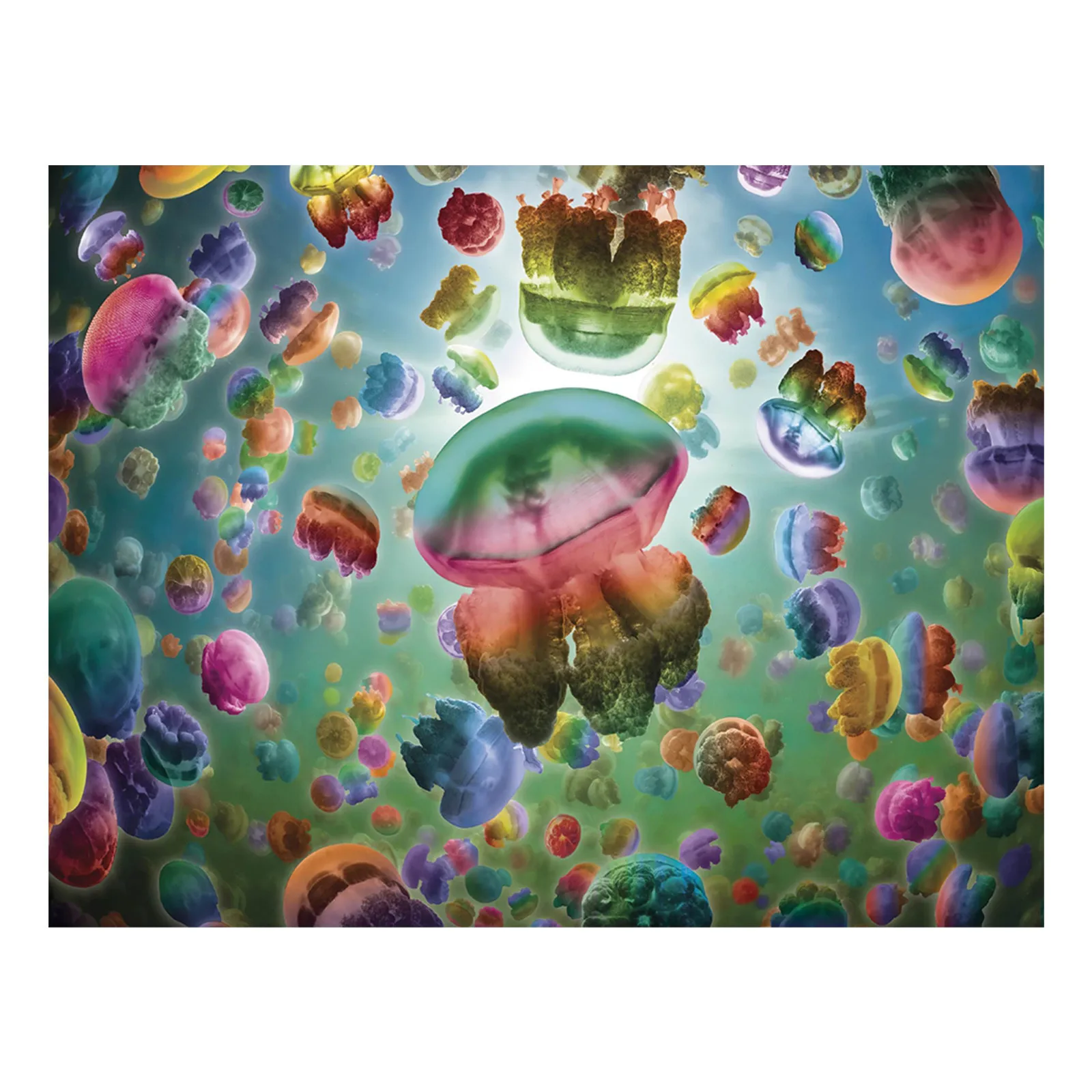 

Development Pcs Toy Puzzle Gift Adult Ahildren's Intellectual 2000 Holiday And Puzzle Toy Dragster Toy