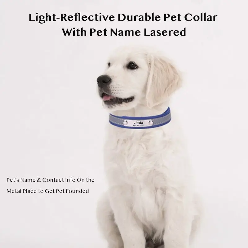 

Small Pet Collar for Dog Cat Reflective Round Adjustable Necklace With Free Custom Name Lettering Service on the Tag