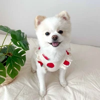 summer pet dog vest strawberry print dogs clothes thin pet pullover puppy small dog breathable knitting french bulldog chihuahua