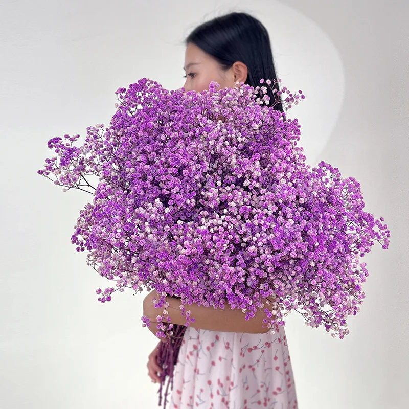 

Сушеные цветы гипсофила YN HI FLOWER ENJOY YOUR LIFE