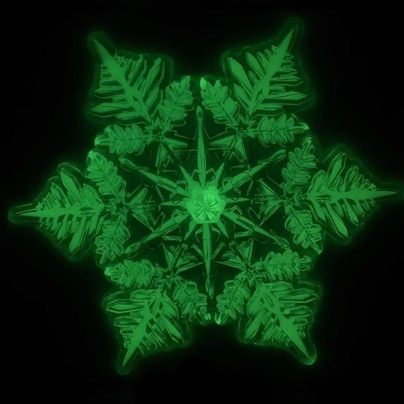 Подставка для сноуборда катания на лыжах зимних видов спорта