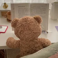 Плюшевый мишка ????#4