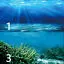 

Fish Tank Background HD Seabed Landscape Aquarium Backdrop Stickers