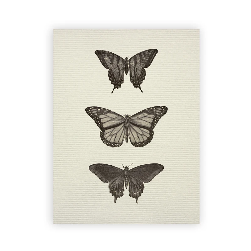 Винтажный деревенский эскиз, рисование, художественные принты, деревенская живопись, настенное искусство, холст, картины, ботанический плакат, домашний декор