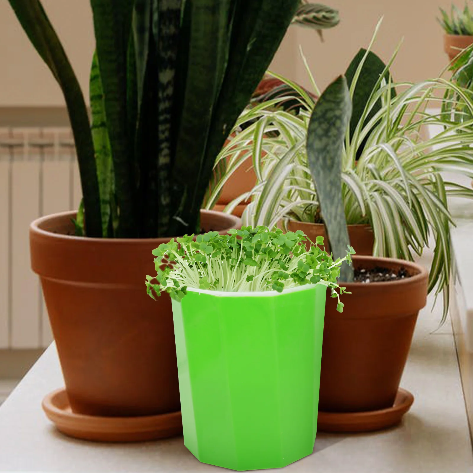 Зернистость для выращивания зернистость |