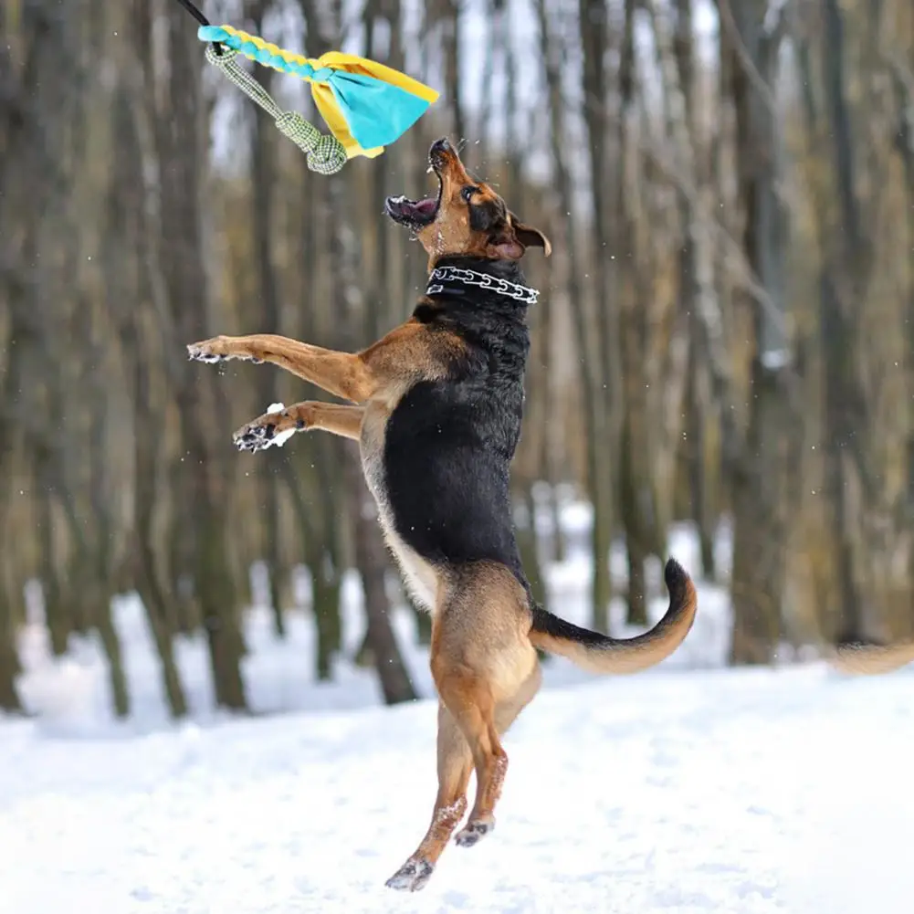 

1 Набор, многофункциональная Интерактивная палочка для животных