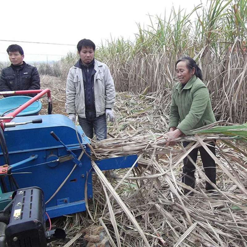 

Sugarcane leaf removing stripping and peeling machine