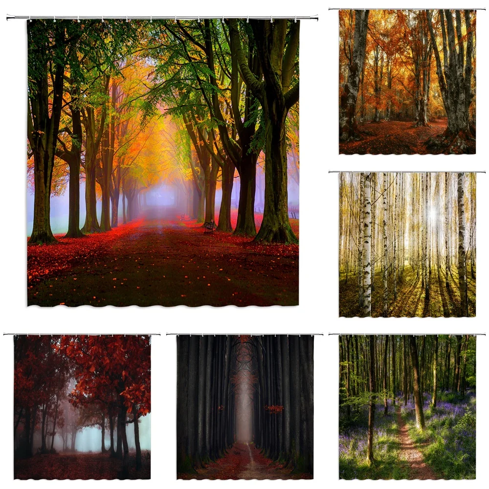 

Forest Tree Shower Curtain for Bathroom Decor with Hooks Birch Nature Landscape Misty Waterproof Fabric Curtain Set Bath Curtain