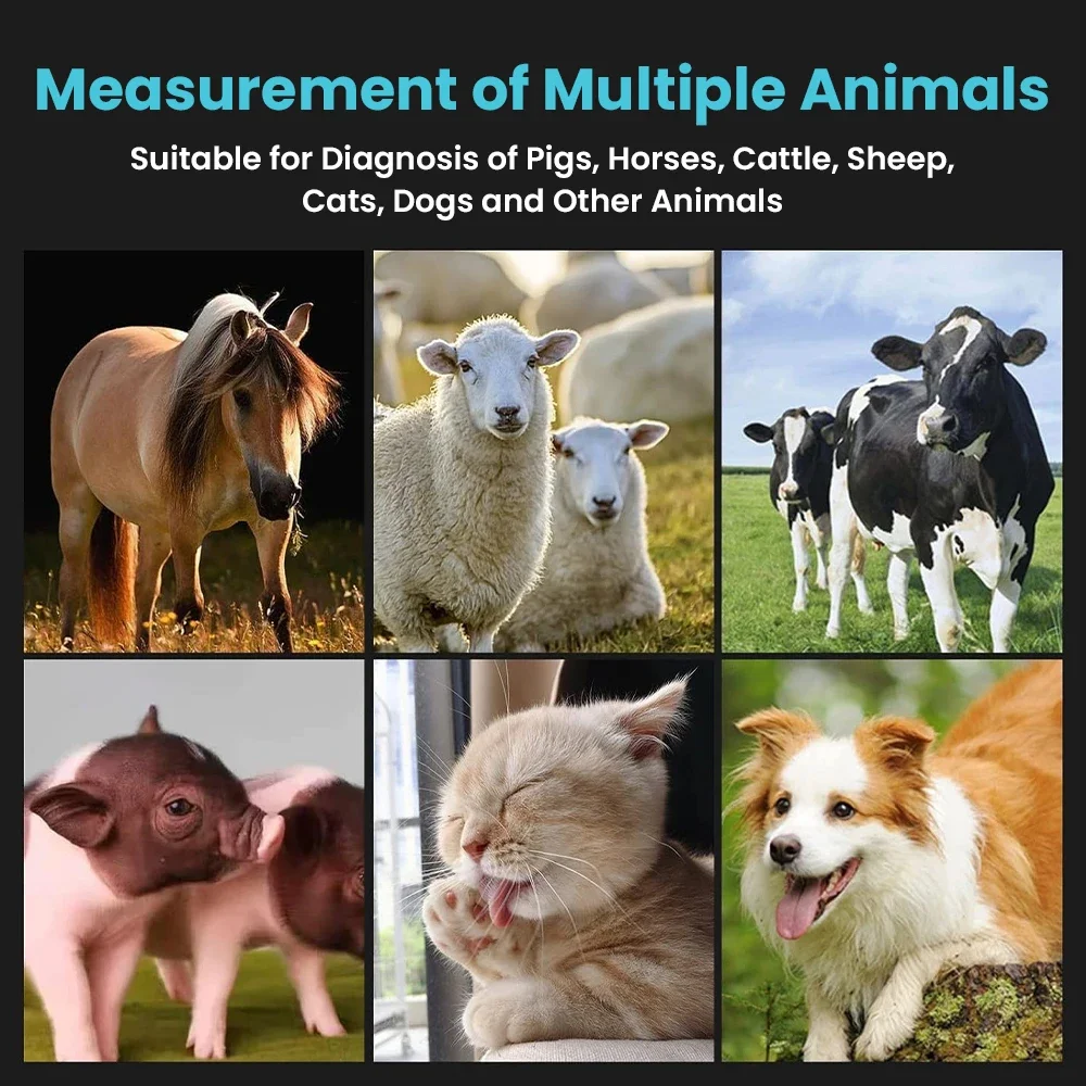 SC30 Ветеринарная цветная ветеринарная диагностическая система B-ультразвука 15