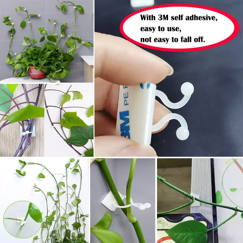 

Plant climbing wall Self-Adhesive Fastener Tied fixture Vine Buckle Hook Garden plant wall climbing Vine Clips Fixed Buckle Hook