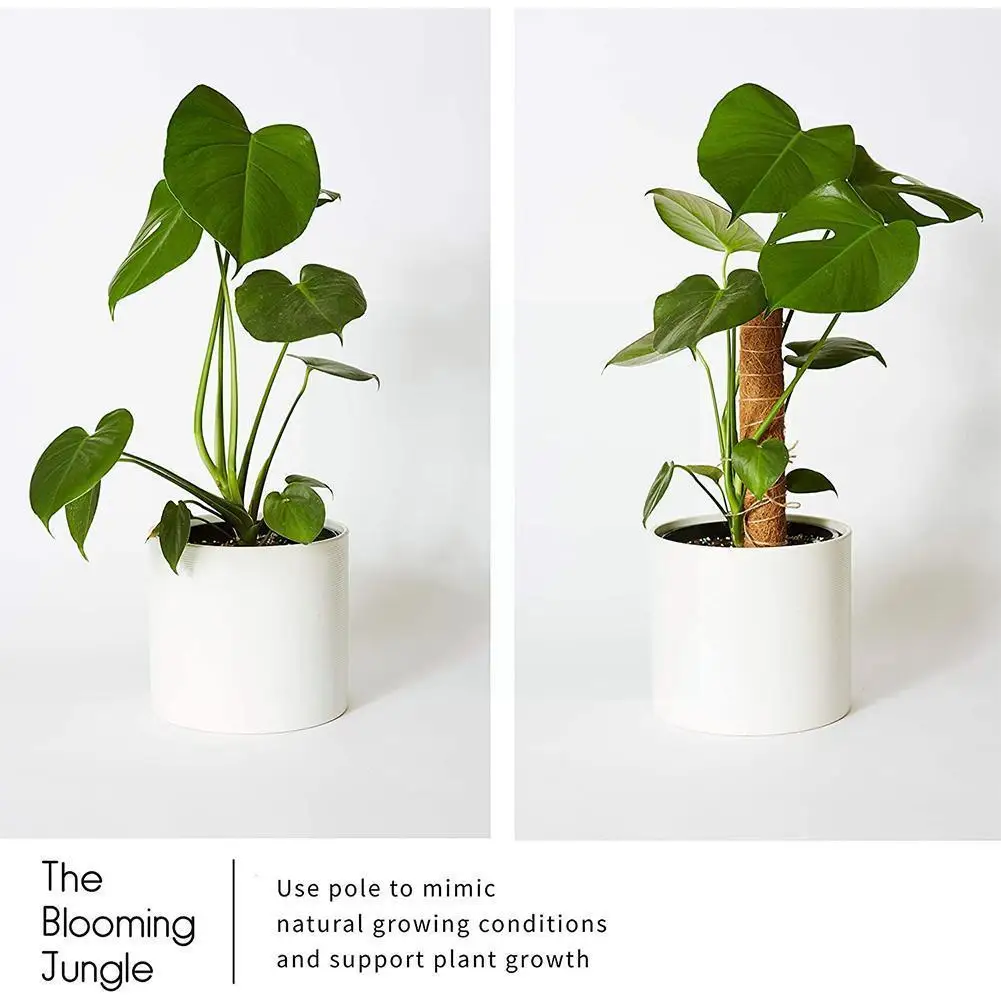 

Safe Plant Cages Supports Reusable Plant Climbing Stand Durable Flower Plants Support For Balcony Garden Courtyard Easy To Z9q6