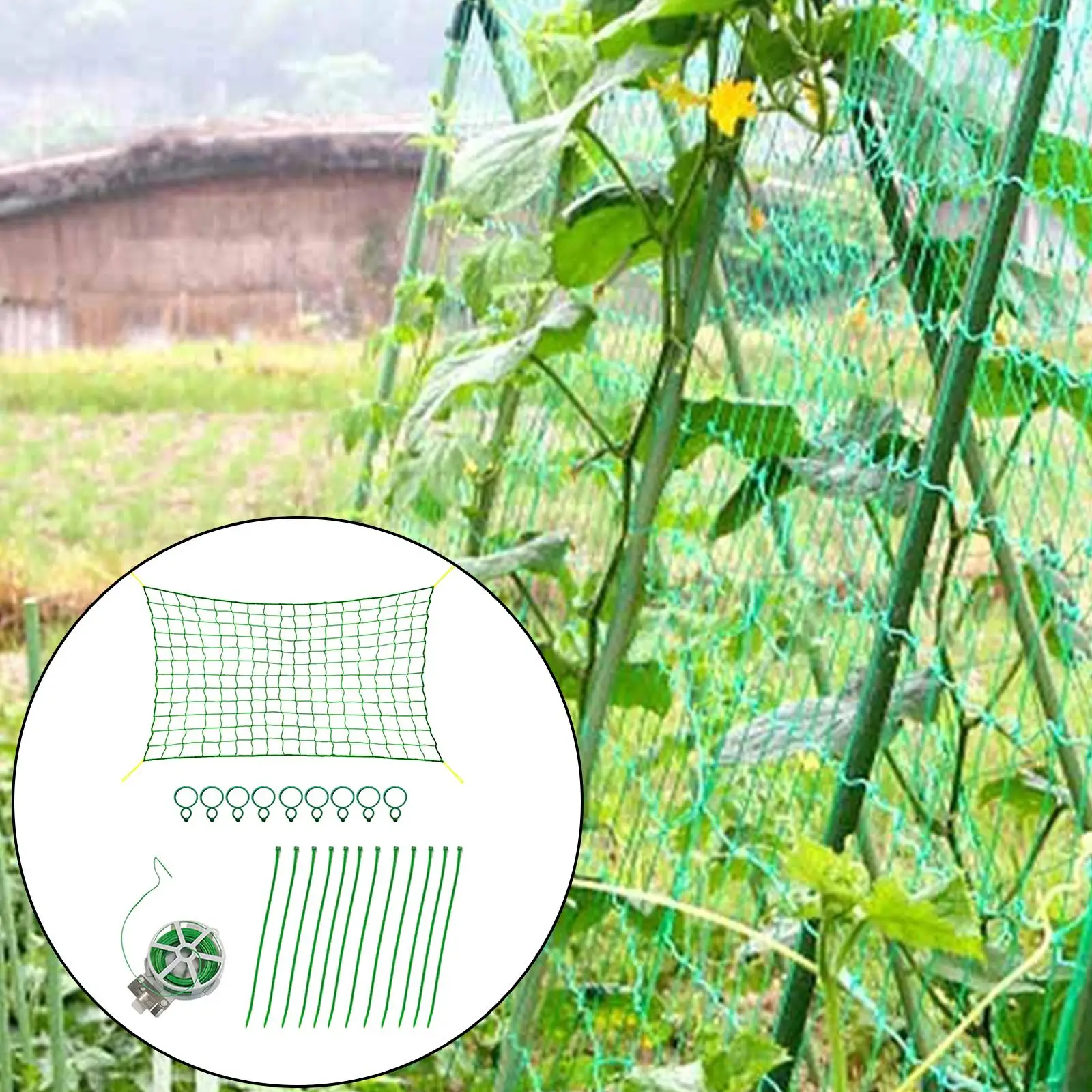 

Garden Plants Climbing Net Plastic & Nylon Net Morning Flower Vine Netting Support Net Grow Net Holder Trellis Netting