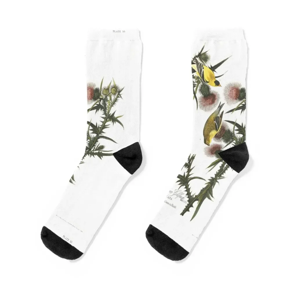 Носки Goldfinch и Thistle Хэллоуин хип-хоп походные мужские носки женские