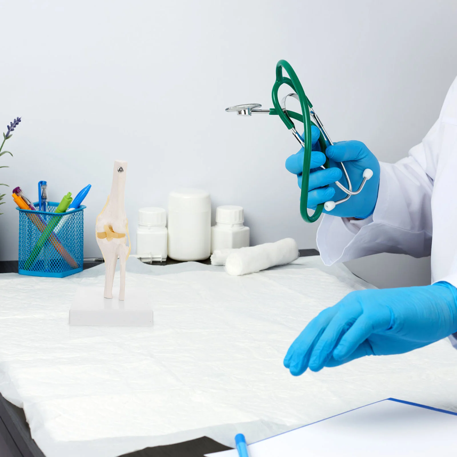 Рисунок 3 - Анатомическое пособие для реального человека