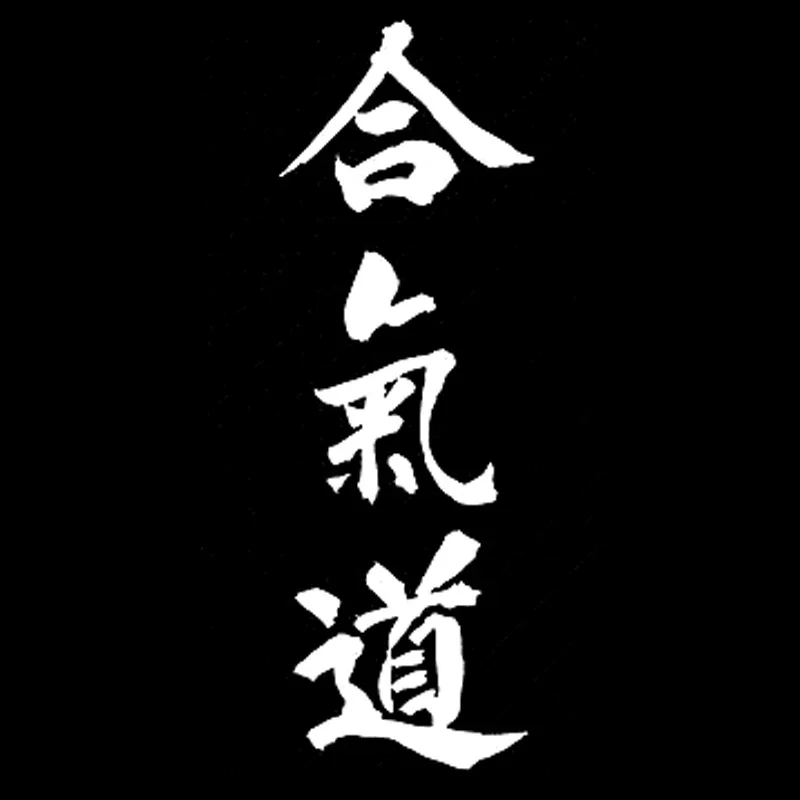 

Персонализированные автомобильные наклейки Aikido с новым дизайном, водонепроницаемая наклейка для ноутбука, багажа, гитары, грузовика, 16 см