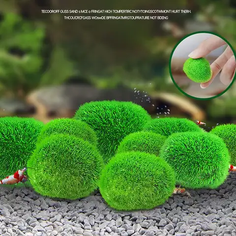2-3 см мох Marimo шар живое аквариумное растение водоросли рыба креветка аквариумное украшение имитация зеленых водорослей шары искусственное ...