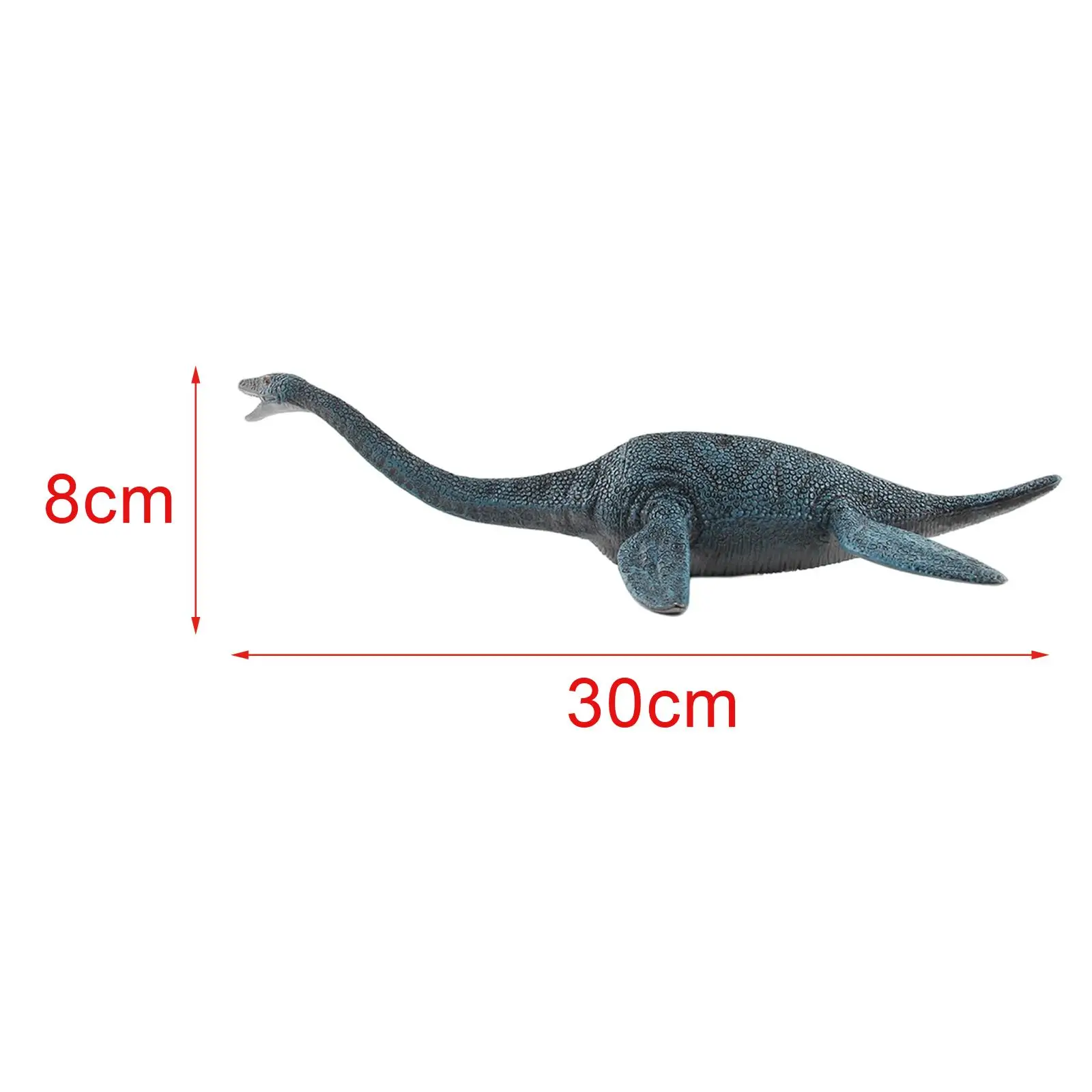 

Simulation Dinosaur Model Educational Toy Collectible Plesiosaurus for Kids