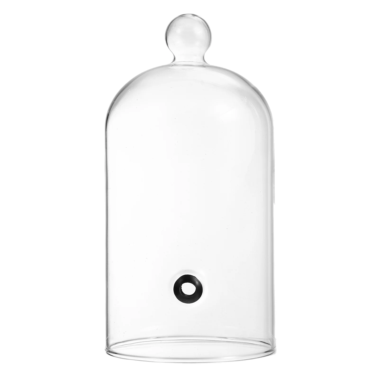 

Coverdomecloche Dessert Cake Infuser Display Cupcake Dishes Clear Stand Showcase Plate Proof Bread Bellinfusion Lid Accessories
