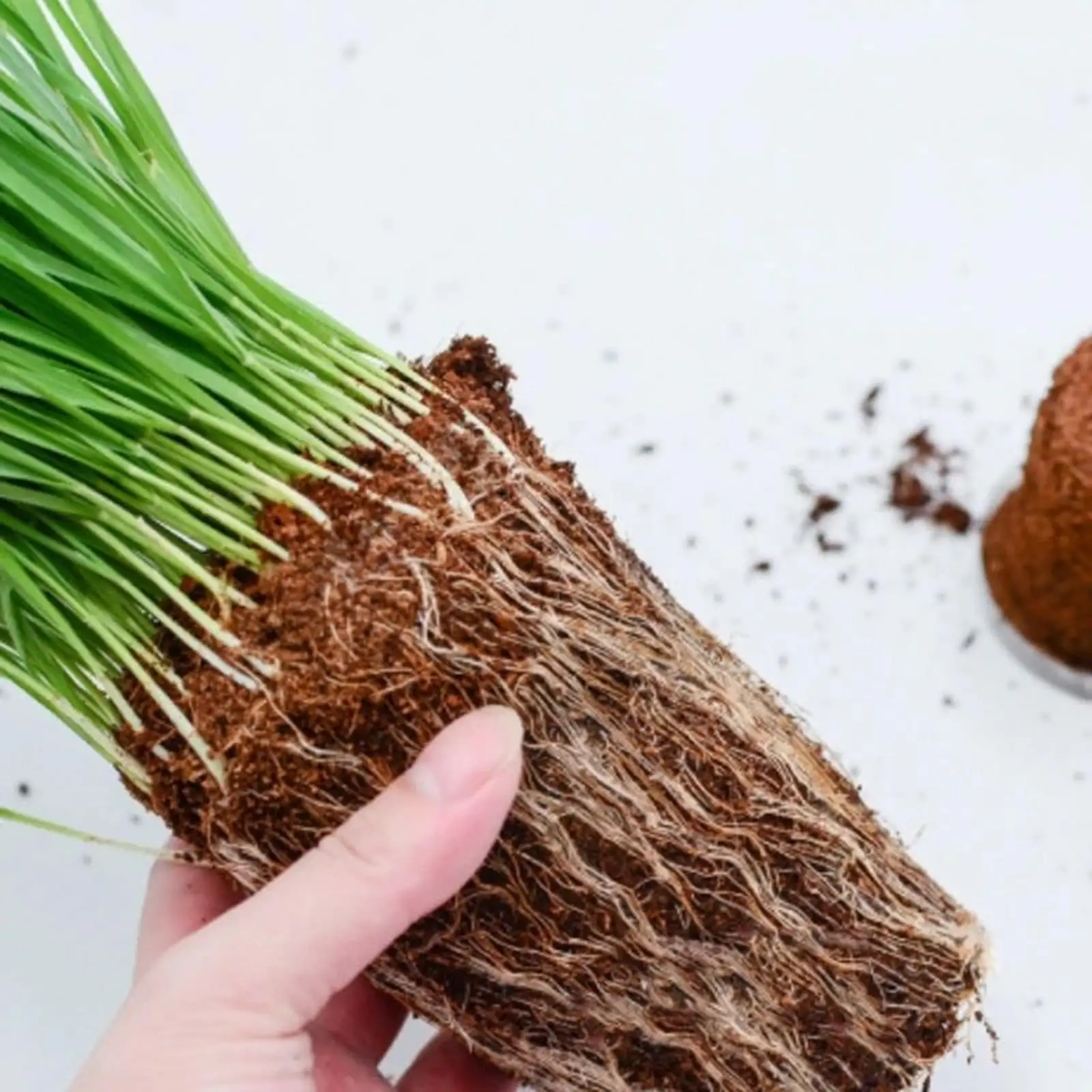 Кокосовый субстрат в брикетах для растений: компрессионный, с высокой влагопоглощаемостью, для комнатных и уличных растений (art.: 3920db514ac89) - 3920db514ac89