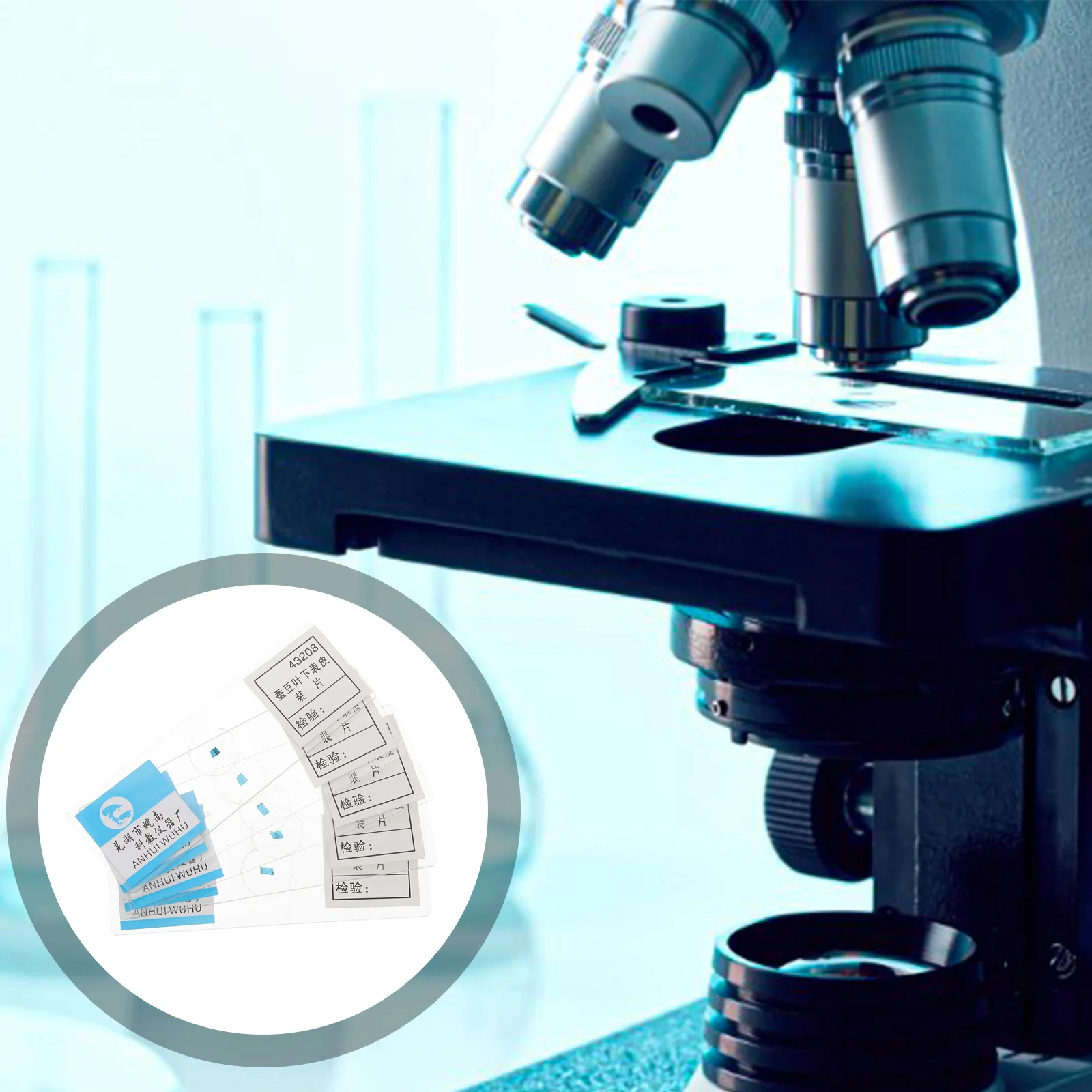 

6pcs Microscope Slide Coverslips Broad Bean Leaf Epidermis Microscope Slide