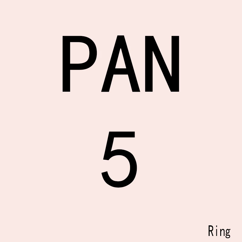 

PAN JZ 5