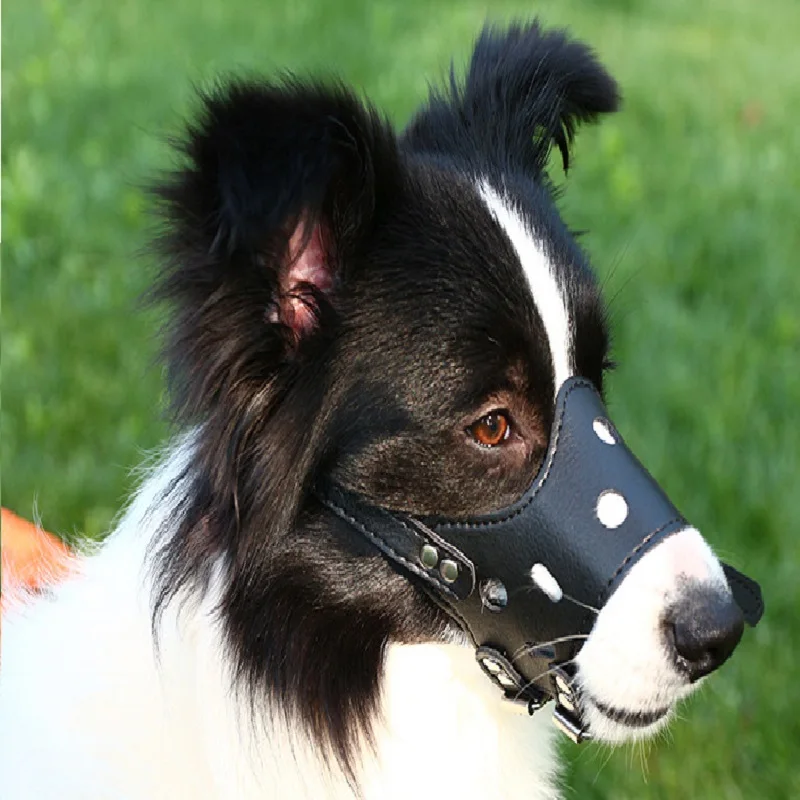 Персонализированный дышащий намордник для собак сдерживает лай - Цена: 435.31