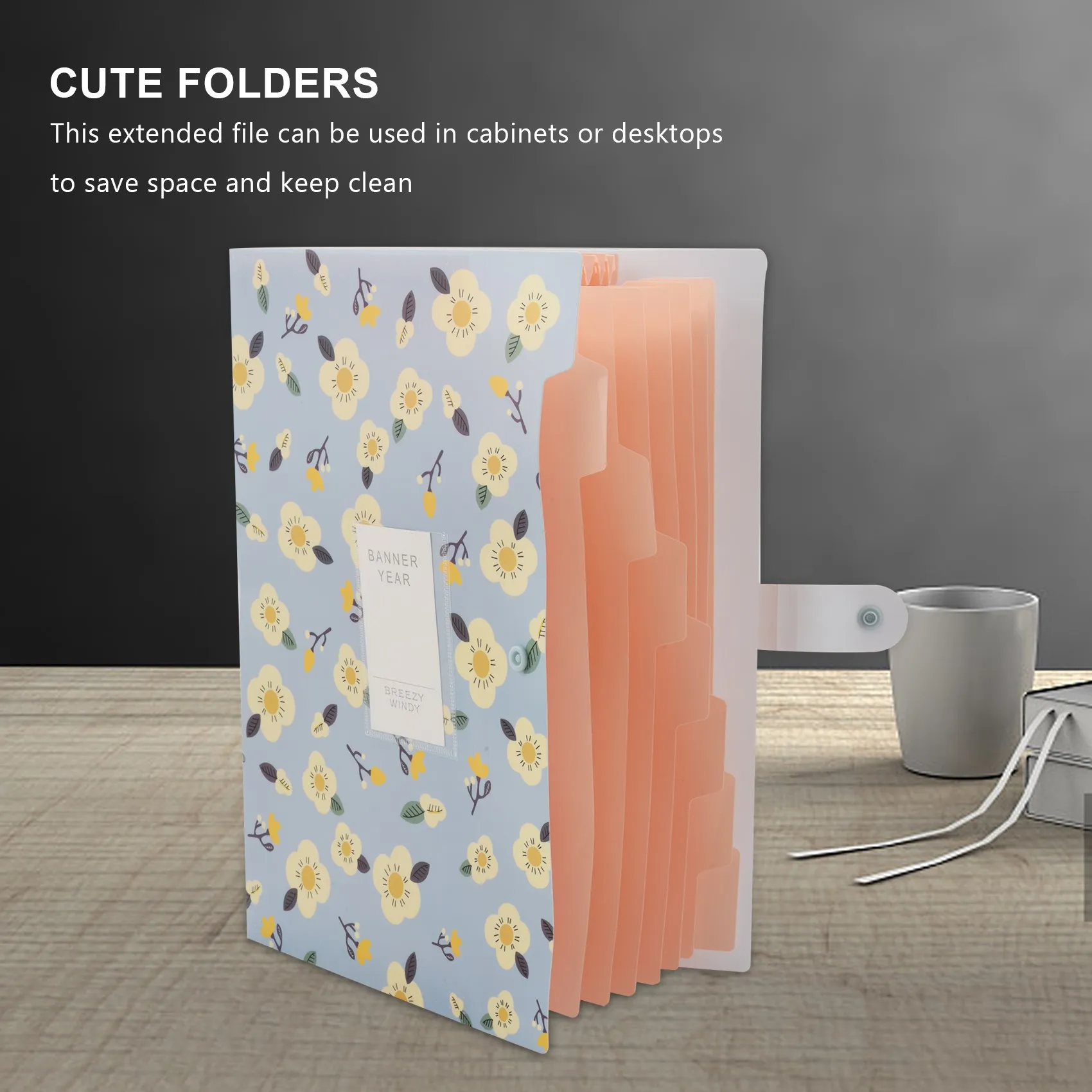 Рисунок 5 - Расширяющаяся папка для файлов с цветочным рисунком