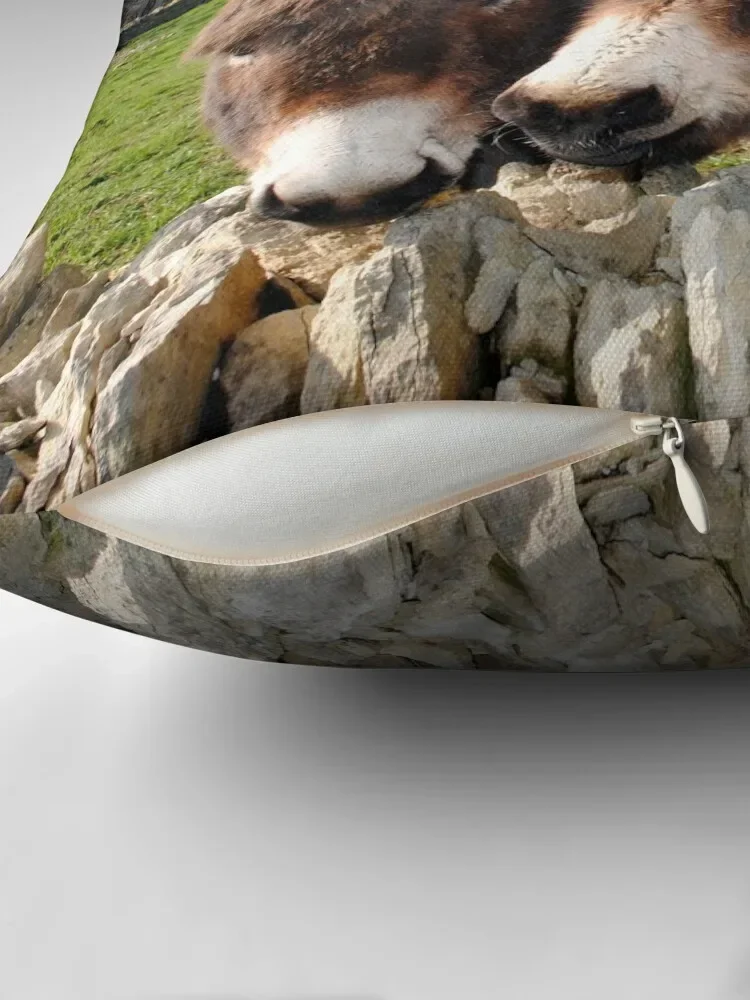 Подушки для дивана декоративные подушки роскошные диванные