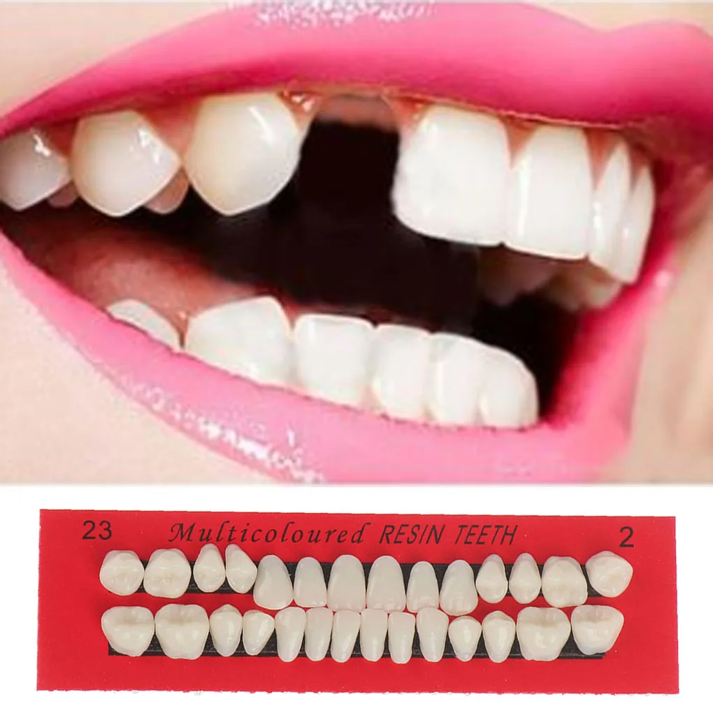 28Pcs Set Resin Teeth Model Durable Waterproof Dentures Lightweight False Teeth Fake Tooth Model Smooth Surface