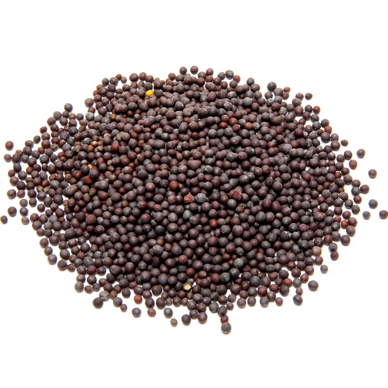 

Indian foo d curry spice mustard seeds 100g