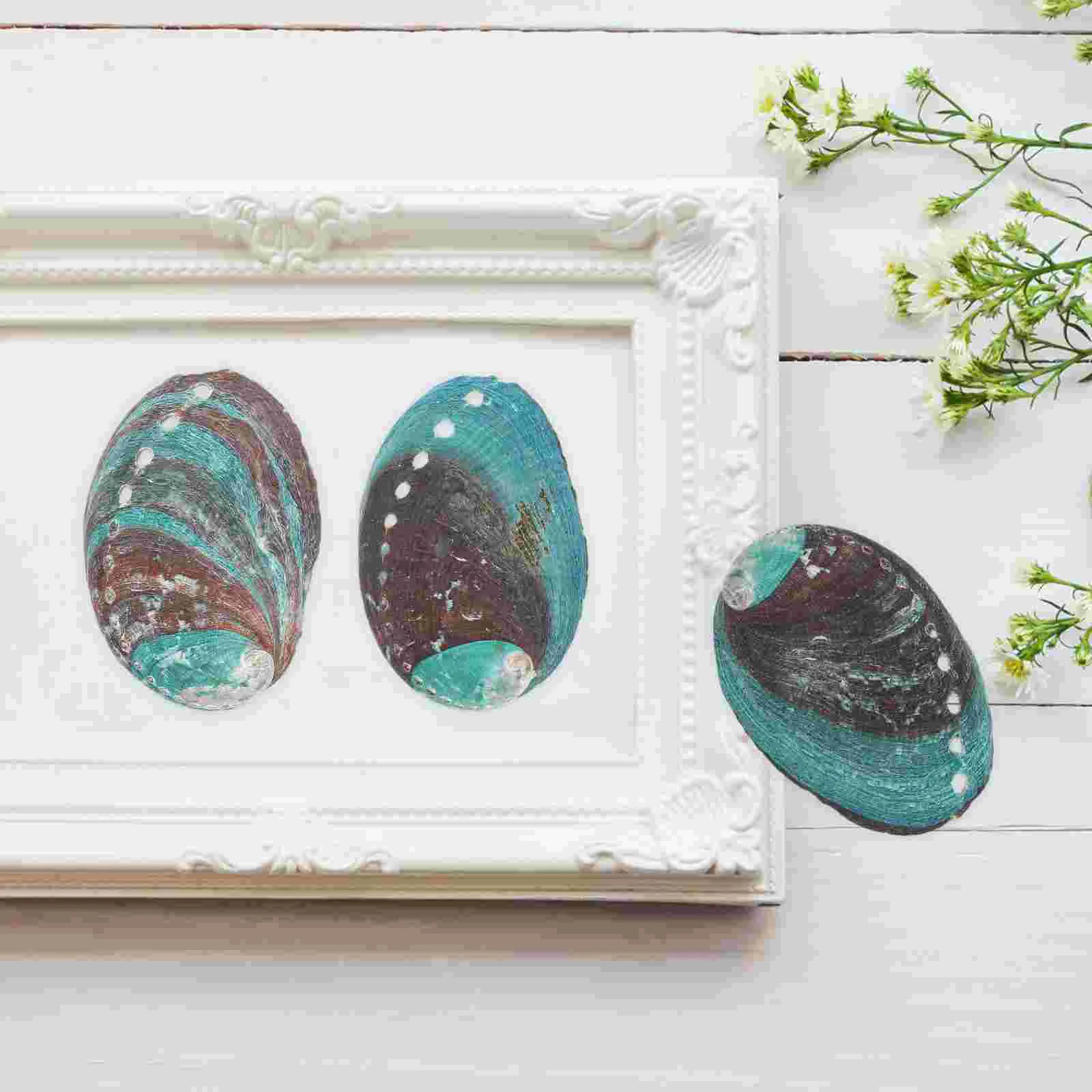 3 шт. натуральные ракушки морское ушко декоративные украшения чаша для