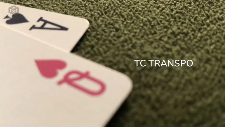 

The Bundle by Edo Huang TC Transpo - Castrol & Fiji -FAN-Tasy - Membership Series - Just a Few More Things to Share Magic Trick