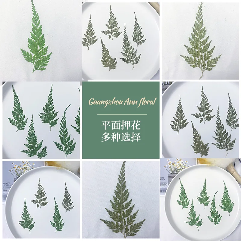 Сушеный цветок черный папоротник искусственный материал настольная лампа свеча