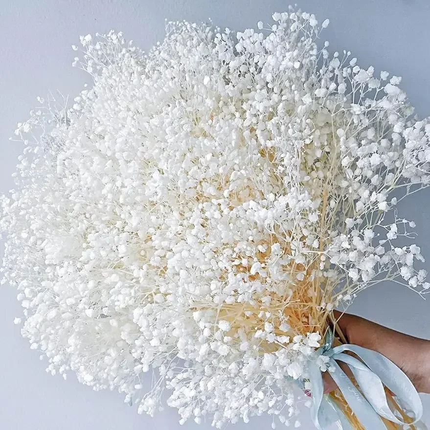 

White Natural Dried Gypsophila Branches For Wedding Baby's Breath Dried Flowers Bouquet Home Decoration Table Decor Floral DIY