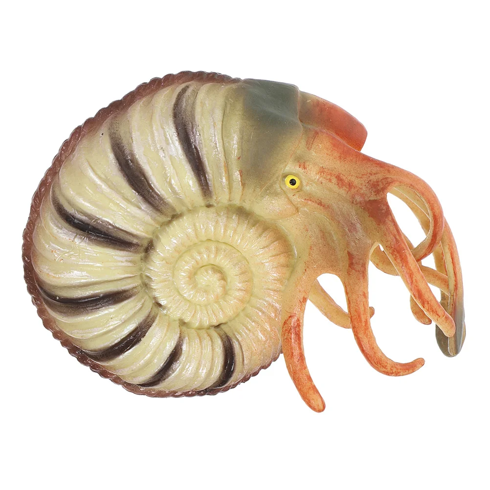 

Simulated Nautilus Model Ornament Marine Animal Model Household Living Room Ornament