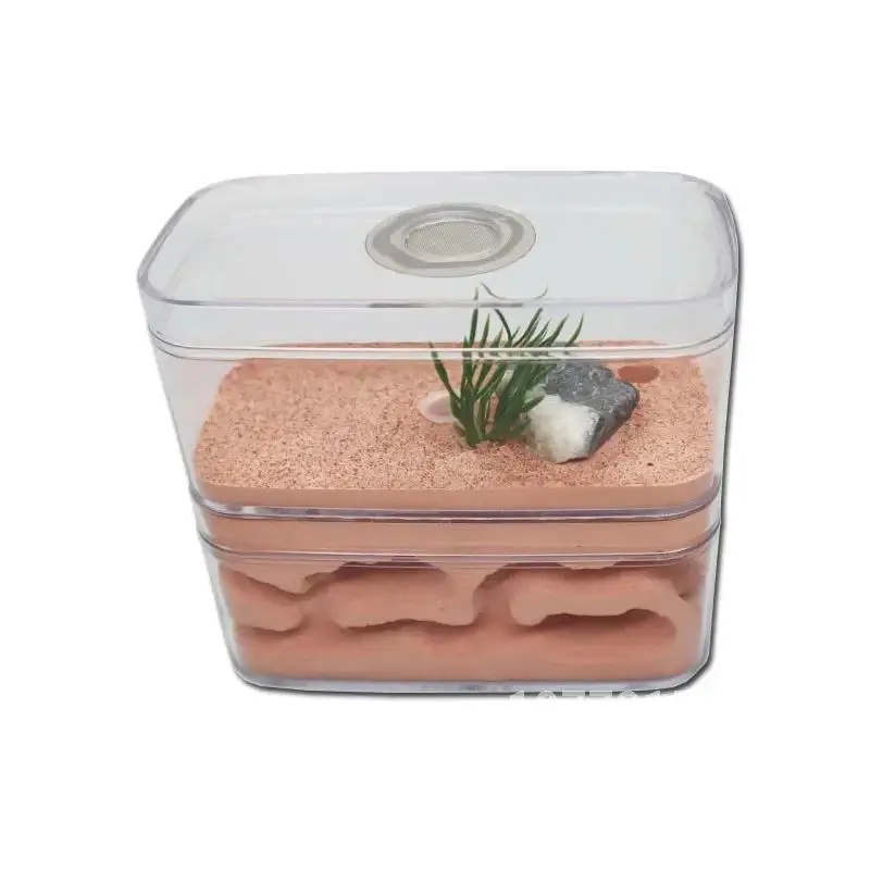 Ферма муравьев из штукатурки с мастерской высокоувлажняющее муравьиное гнездо