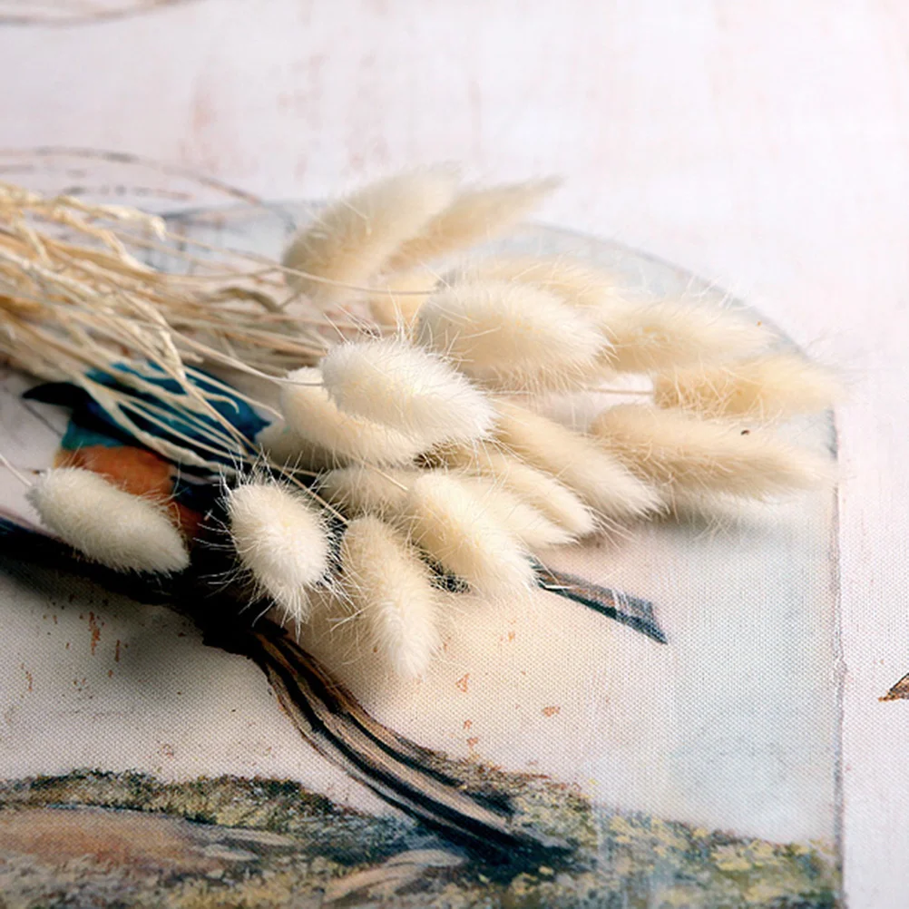 

Dried Rabbit Tail Grass Dried Pampas Grass Bunny Tails Stems Natural Dried Flower Bouquet Floral Arrangement Bunch Boho