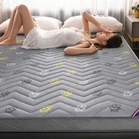 summer tourist mattresses portable natural latex modern folding mattresses girls bedroom colchon pleglable bedroom furniture