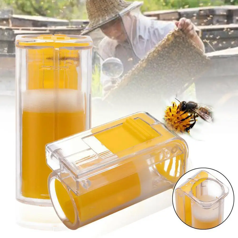 

2022 Bee Queen маркер для бутылки Bee Mark Cage, пластиковый Ловец, товары для сада, игрушечный плюшевый Плунжер для пчеловодства X6Z6