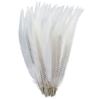 natural pheasant feathers for decoration 12 32inch long silver feather on the head top with diy carnaval assesoires plumes decor
