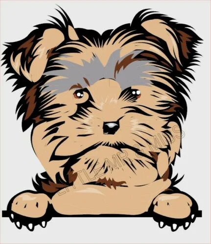 

For YORKIE Peeking Dog Color Window Wall Laptop W/proof Sticker
