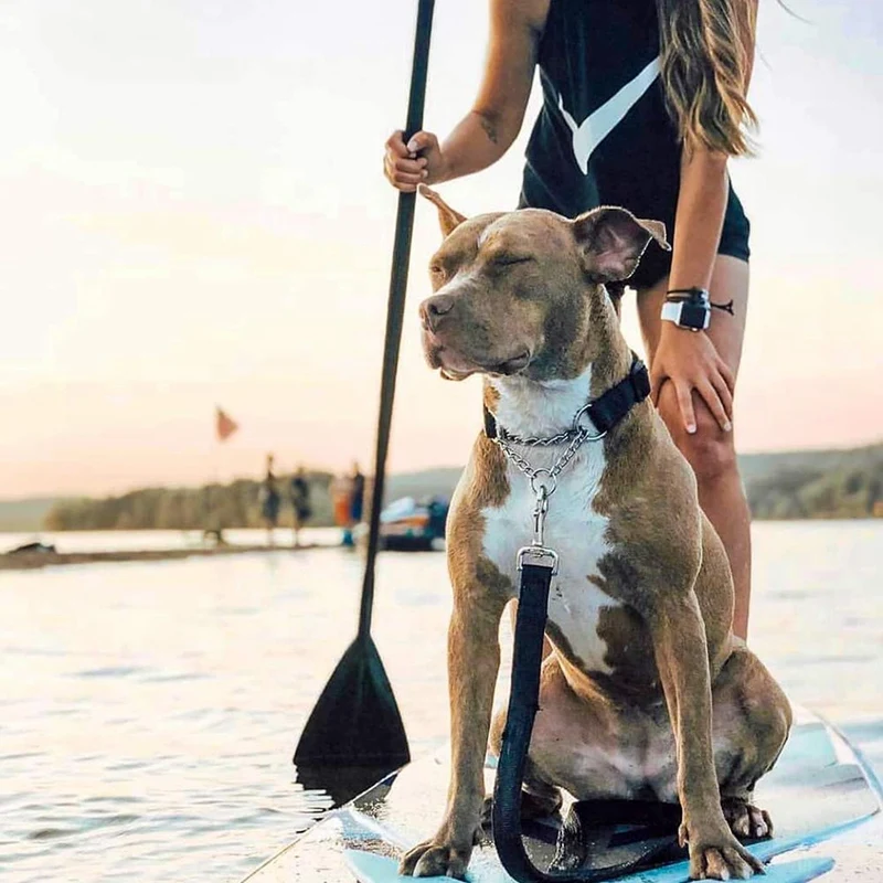 Регулируемое весло для доски серфинга с уникальным дизайном замка плавающий вал