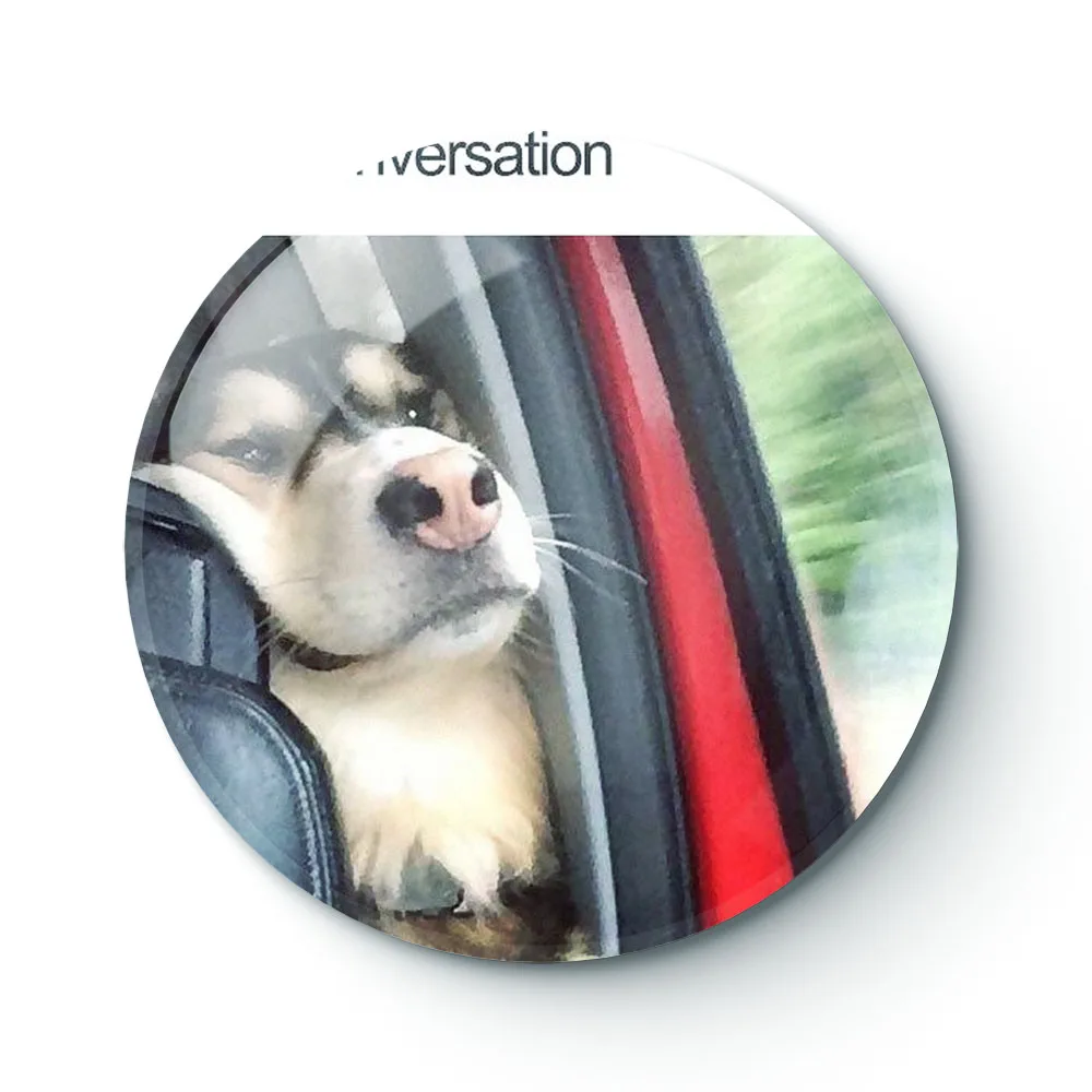 Собачий мем 063 броши на пуговицы булавка ювелирный аксессуар брошь заказ модные