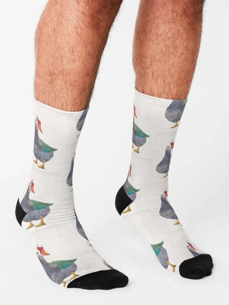 Носки Muscovy с изображением утки акварельных птиц велосипедные мужские