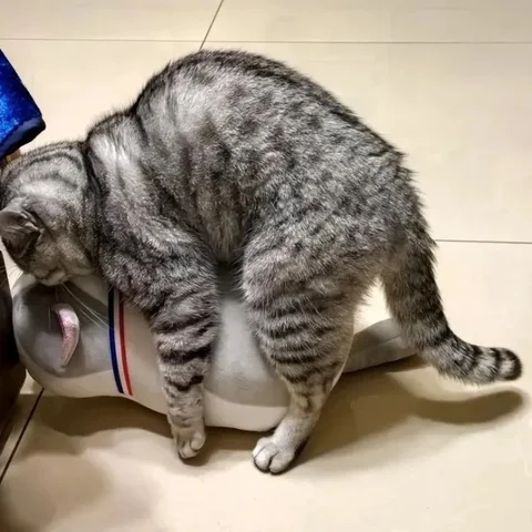 Жылқымен жыныстық қатынасқа түскен порно видео