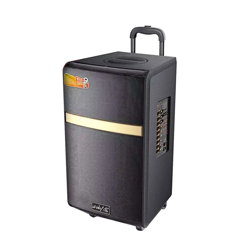 

Высококачественный микрофон для караоке